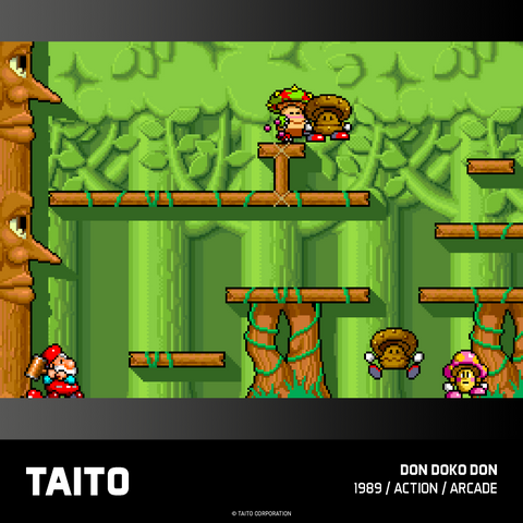 #17 Taito Arcade 1 - Evercade Cartridge