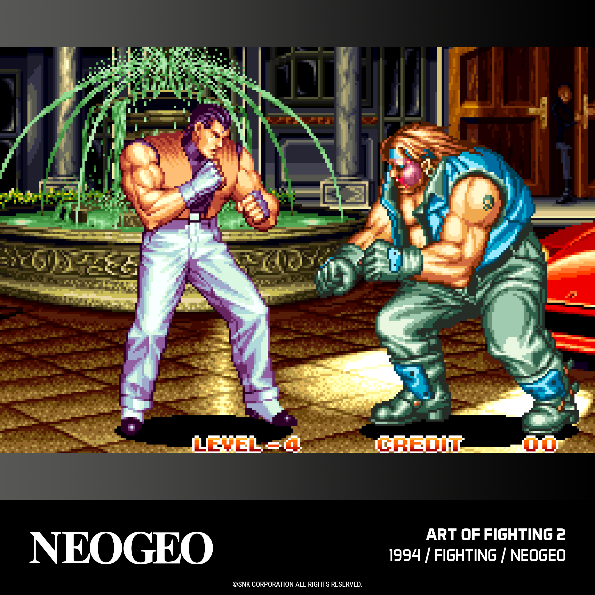 #19 NEOGEO Arcade 2 - Evercade Cartridge