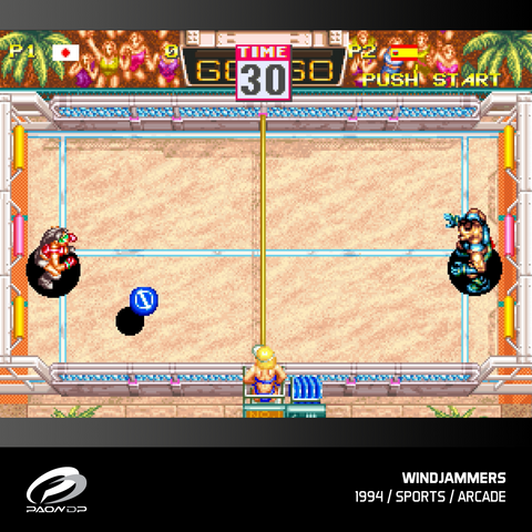 #15 Windjammers, Karnov and Friends - Evercade Cartridge