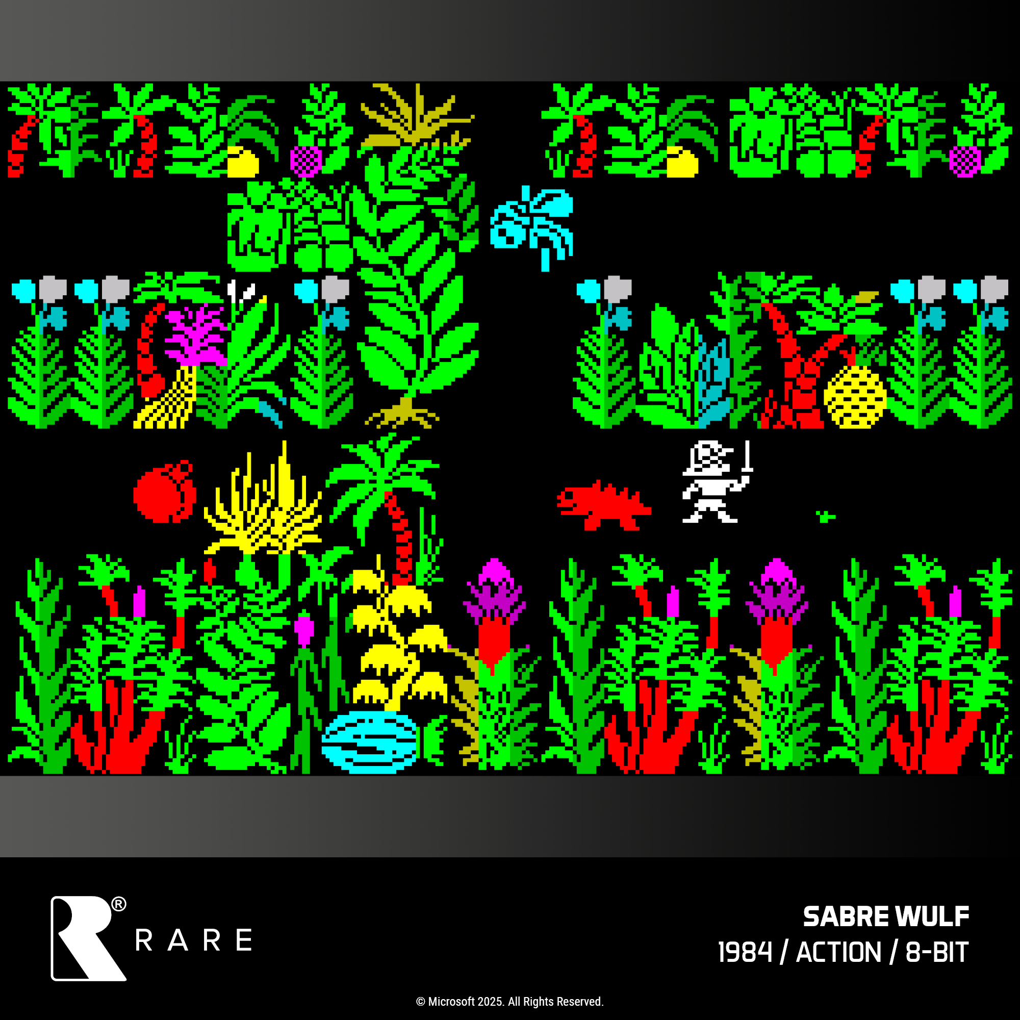 #48 Rare Collection 1 - Evercade Cartridge