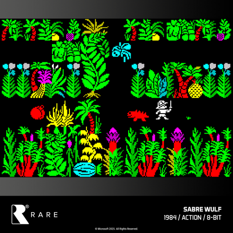 #48 Rare Collection 1 - Evercade Cartridge