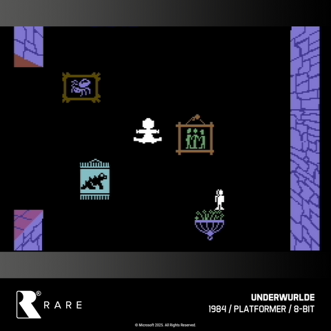 #48 Rare Collection 1 - Evercade Cartridge