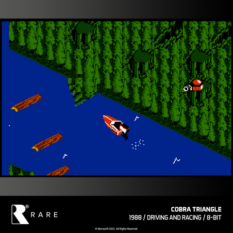 #48 Rare Collection 1 - Evercade Cartridge