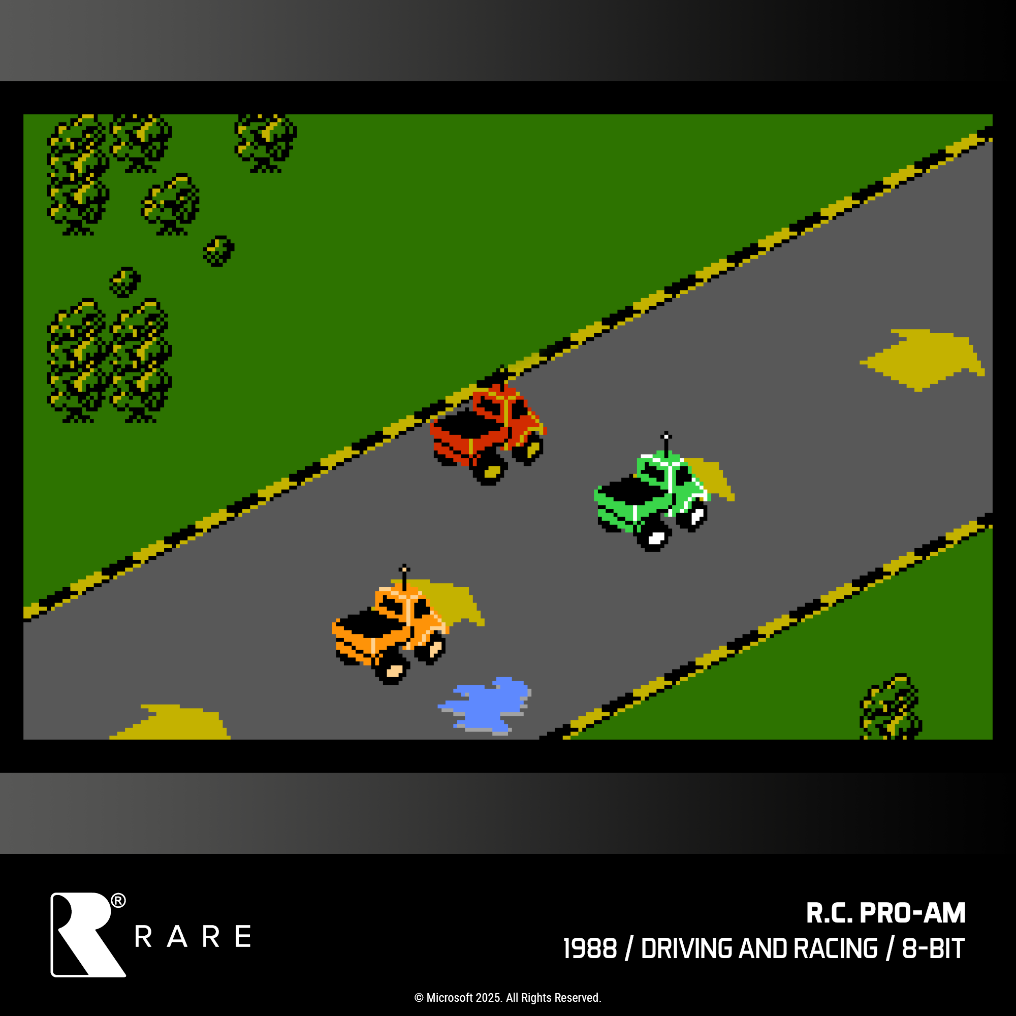 #48 Rare Collection 1 - Evercade Cartridge