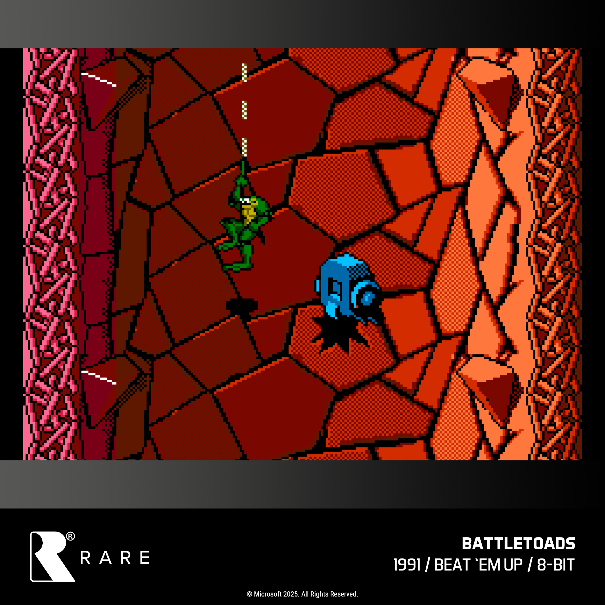 #48 Rare Collection 1 - Evercade Cartridge