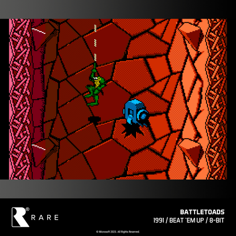 #48 Rare Collection 1 - Evercade Cartridge