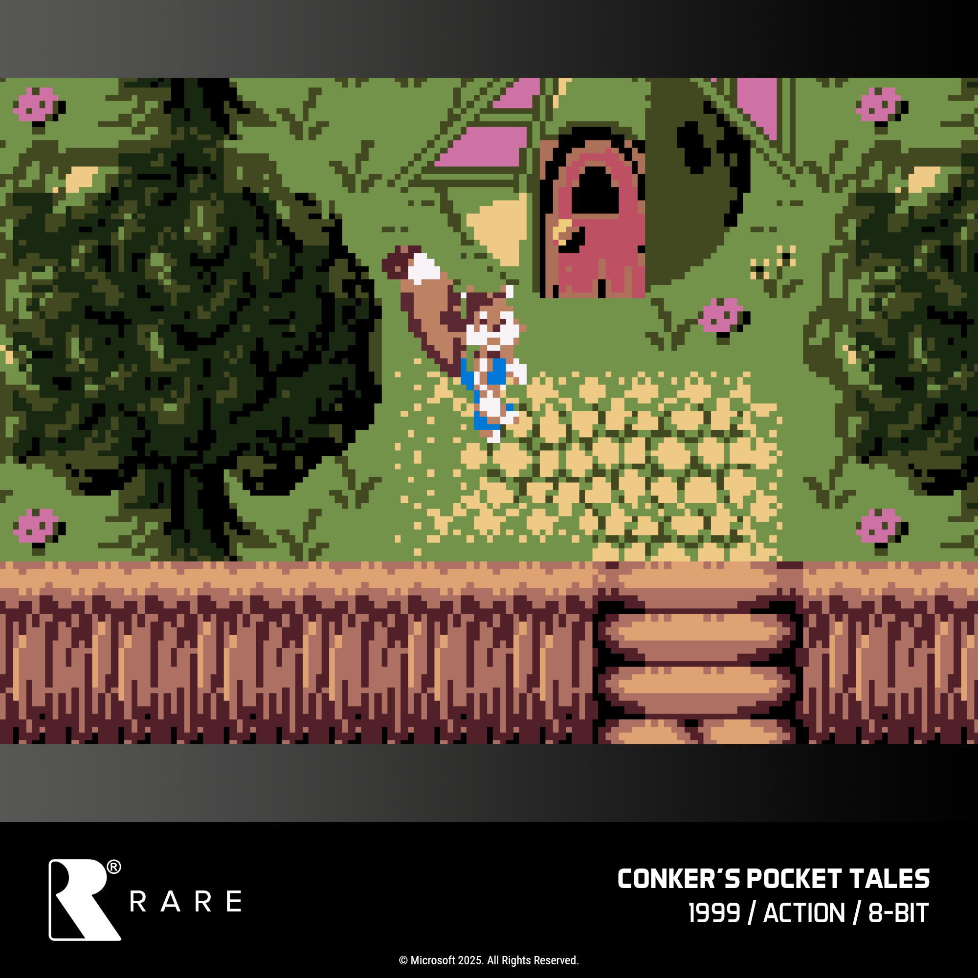 #48 Rare Collection 1 - Evercade Cartridge