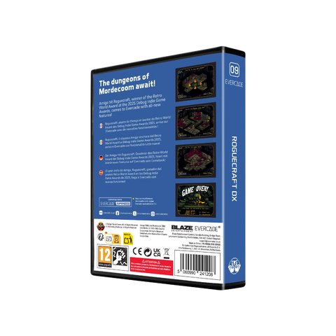 #09 Roguecraft DX - Evercade Cartridge