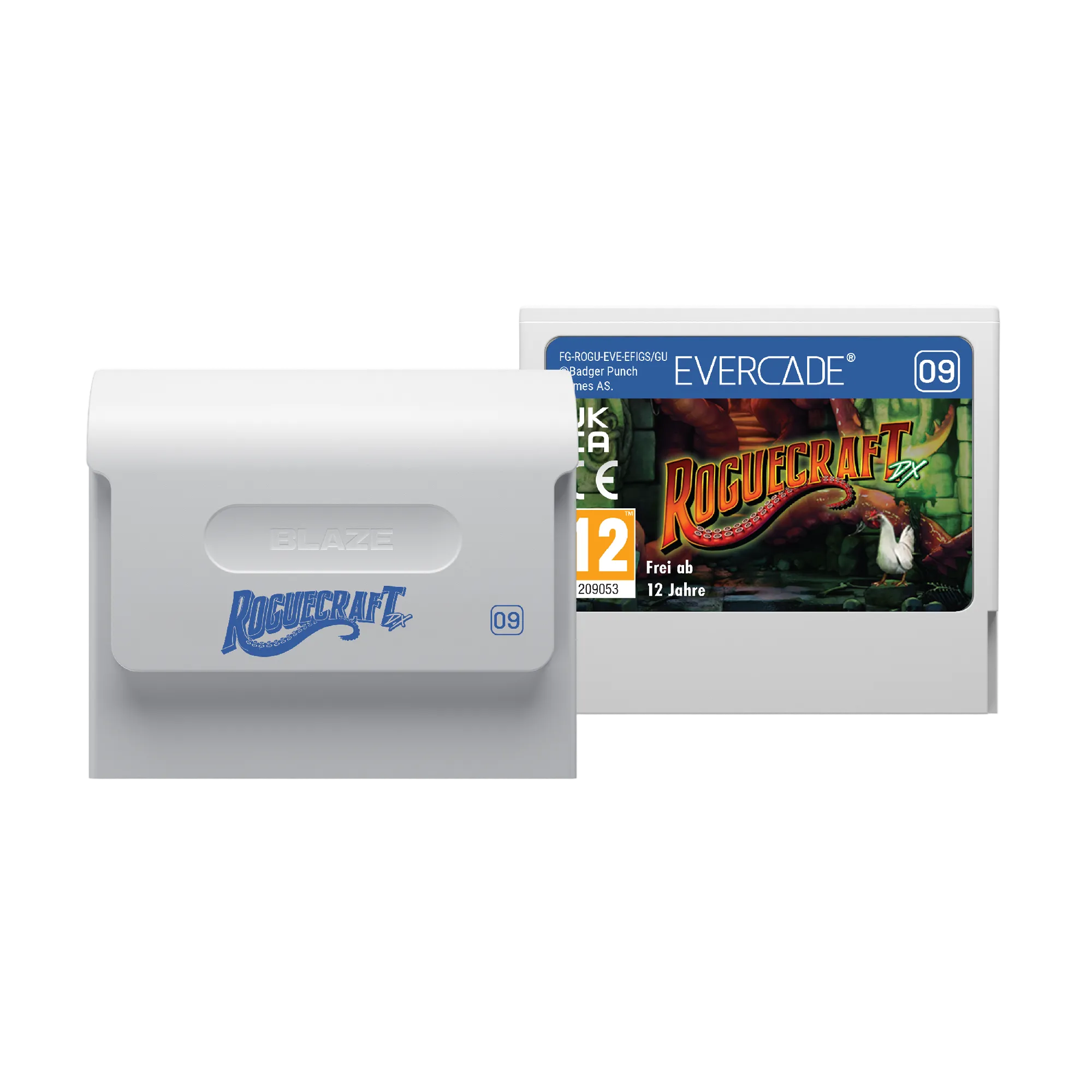 #09 Roguecraft DX - Evercade Cartridge