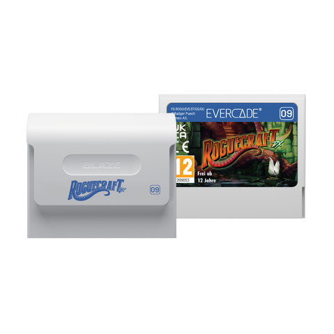 Roguecraft DX and NEOGEO Arcade 1 Bundle