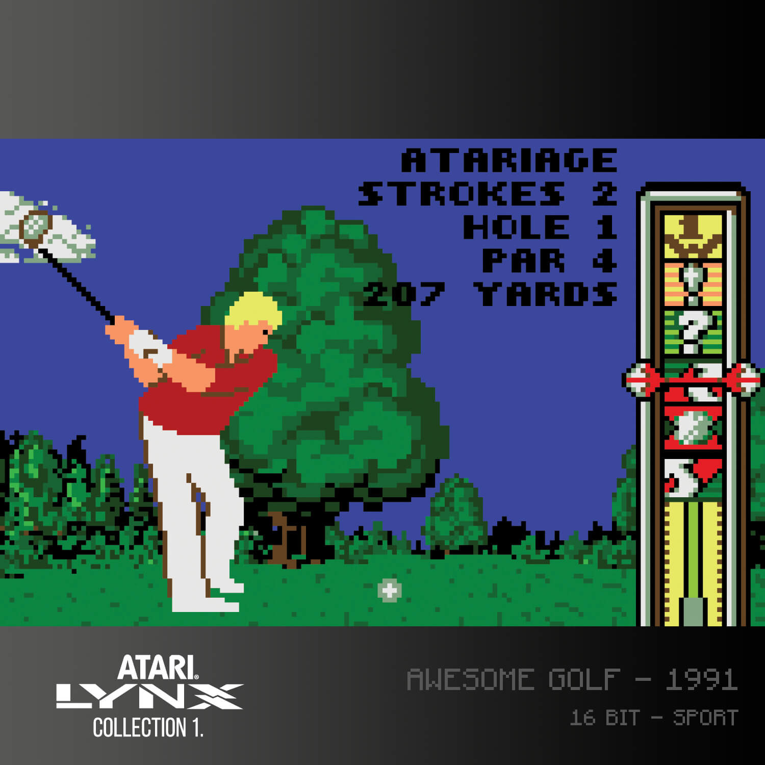 #13 Atari Lynx Collection 1 - Evercade Cartridge